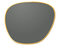 Tinting Lens